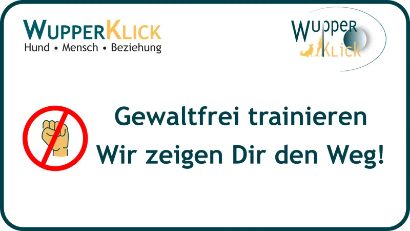 Icon gewaltfrei Text: Gewaltfrei trainieren - Wir zeigen Dir den Weg