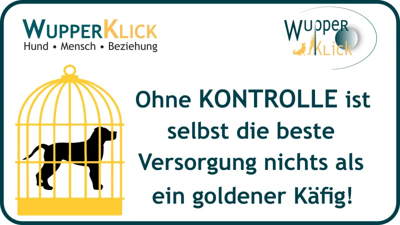 Icon: Hund im goldenen Käfig, Text: Ohne Kontrolle ist selbst die beste Versorgung nichts als ein goldener Käfig