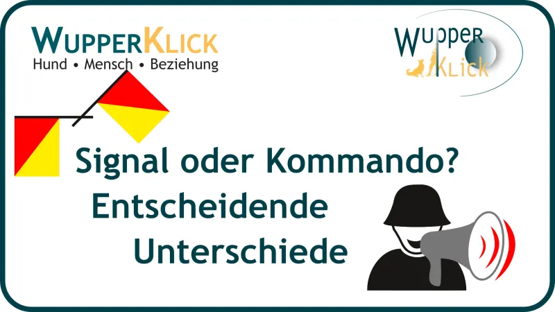 Grafik 2 Signalflaggeb und ein Soldat mit Megafon, Text Signal oder Kommando? Entscheidende Unterschiede