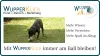 Bild: Hund spielt mit Ball Text: "Mit Wupperklick immer am Ball bleiben