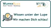 Icon Lupe über Buchseiten Text wir machen dich schlau