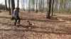 Trainerin mit 2 Mensch-Hunde-Teams